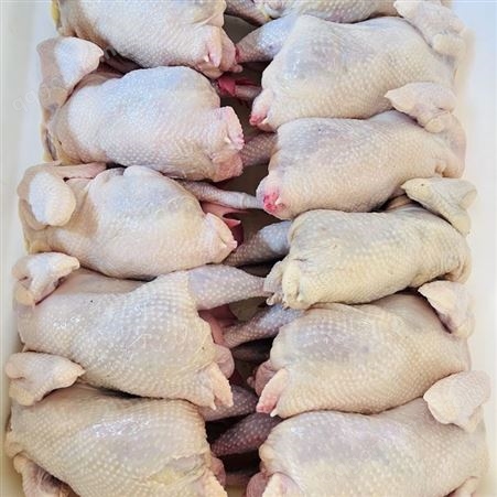 原料食材冷冻 新货白条鸡烧鸡烤鸡 厂家长期批发