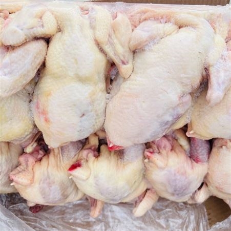 原料食材冷冻 新货白条鸡烧鸡烤鸡 厂家长期批发