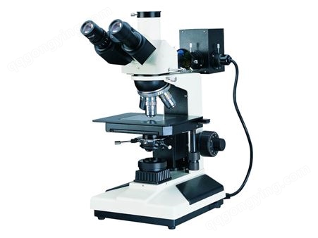LW200-3JT三目正置金相显微镜