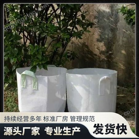 美植袋无纺布育苗袋批发 种植盆悬挂式 可壁挂式容量1.8L