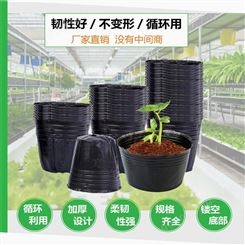 黑色塑料营养 钵 家庭植物营养杯 加厚园艺花卉营养钵